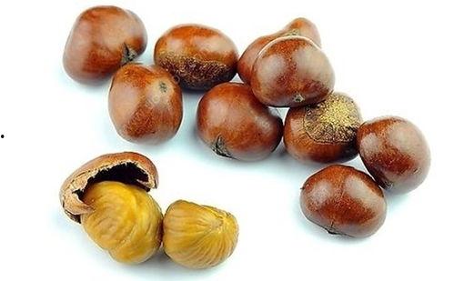 吃板栗瓜烧心吗,揭秘食用板栗瓜是否引发烧心现象