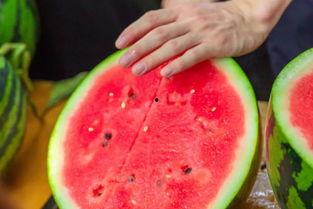 郑州高校吃瓜事件,校园风波背后的真相与反思