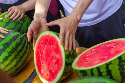 昨天吃瓜今天疫情,昨日瓜田笑谈,今日防疫同行