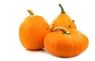 虾仁吃瓜动画,一场欢乐的动画盛宴