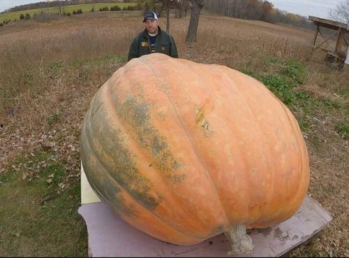 吃瓜吐水,揭秘娱乐圈的甜蜜与苦涩