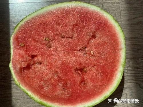 19系列吃瓜,揭秘娱乐圈的“吃瓜”盛宴