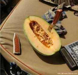 车吃瓜,揭秘汽车界的“甜蜜陷阱”