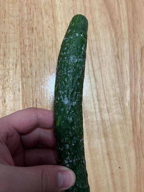 脆瓜还敢吃吗,揭秘“还敢吃吗”背后的真相