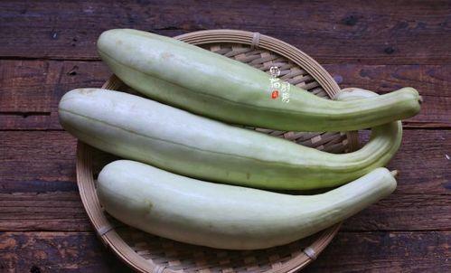 吃白瓜未熟恶心,揭秘食用注意事项