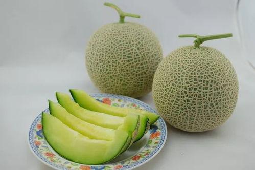 吃瓜遭仇恨,揭秘网络暴力的阴影面