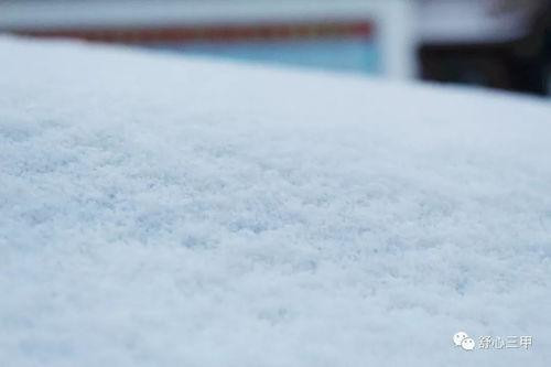 雪的吃瓜,一场别开生面的冬日盛宴