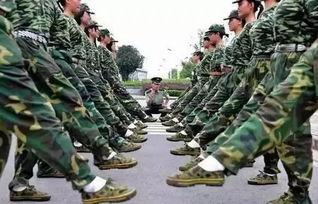 凉亭事件吃瓜军训,揭秘军训中的吃瓜风云