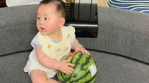 认真吃瓜宝宝,网络红人的成长之路