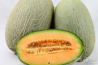 猿猴吃哈密瓜,自然界的和谐一幕