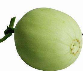 癌症人吃梨瓜好吗,癌症患者食用梨瓜的益处与注意事项