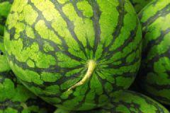 微胖可以吃瓜吗,揭秘吃瓜的乐趣与技巧