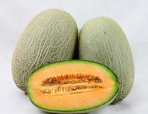 茄子与哈密瓜能一起吃吗,探究能否同食的健康之谜