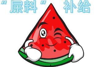 大型吃瓜现场圆满